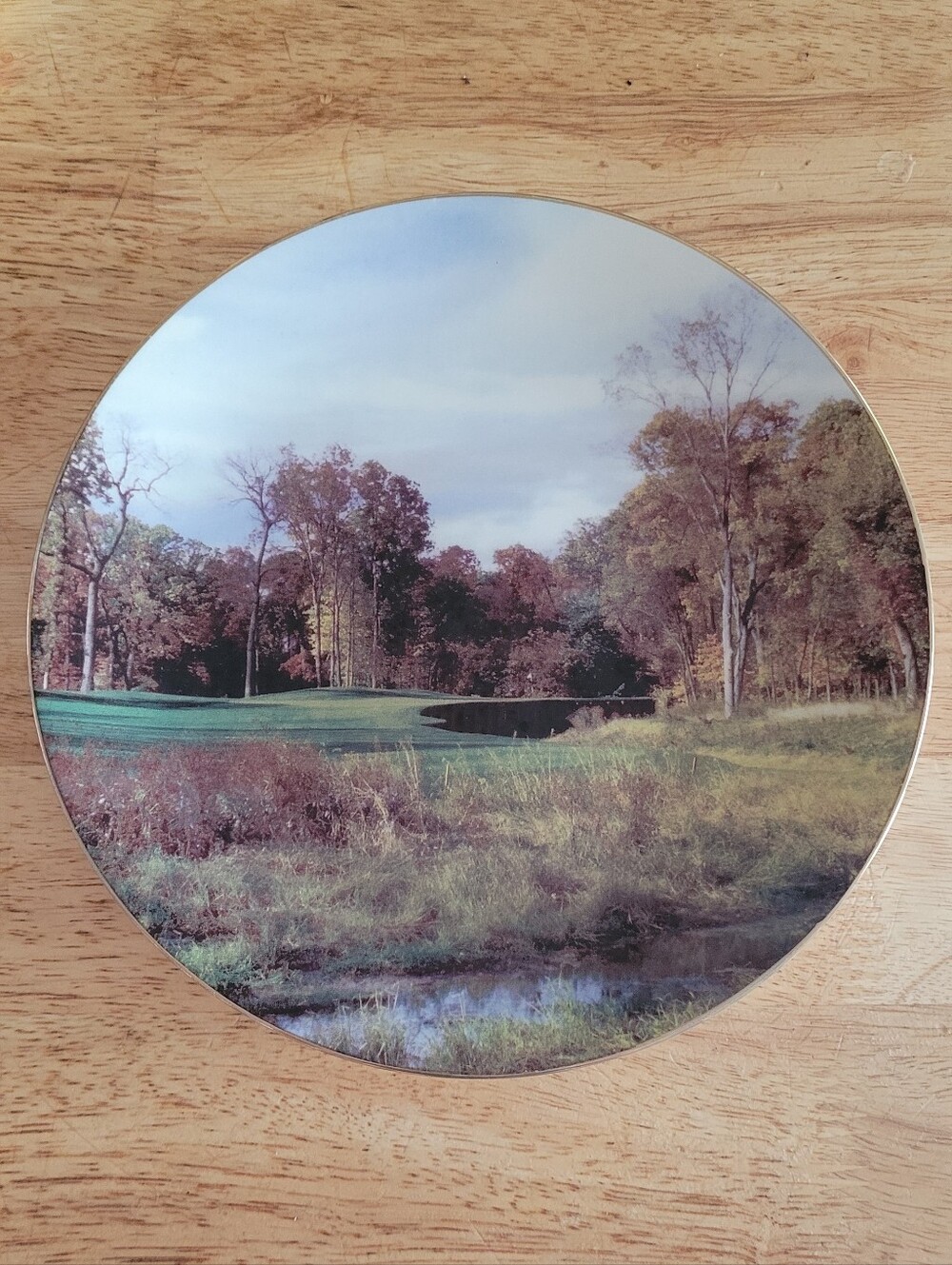 Scenic Landscape Decorative Wall Plate - Green and Brown 8.5in